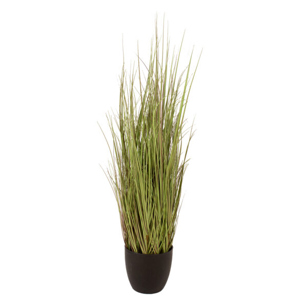 85551