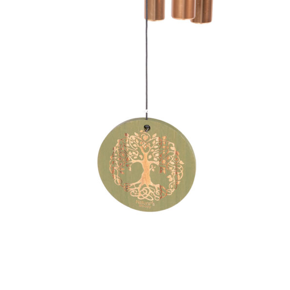 85170_04